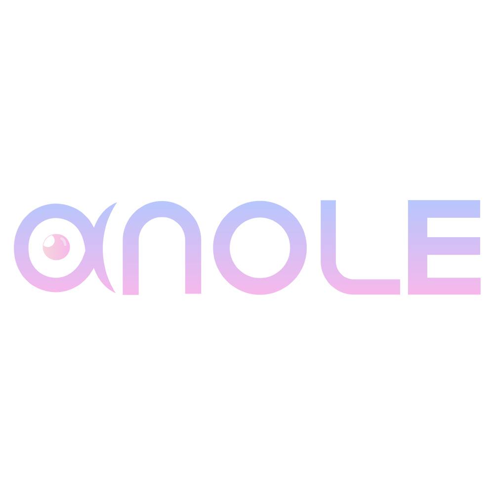 Anolestyle Coupon Codes