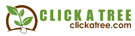 Top Offers Click A Tree
