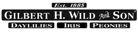Gilbert H Wild & Son Coupon Codes