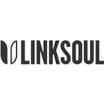LinkSoul Coupon Codes