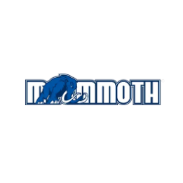 Mammoth Coupon Codes