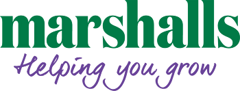 Marshalls Coupon Codes