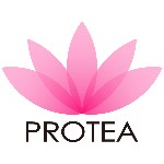 Protea Hair Coupon Codes