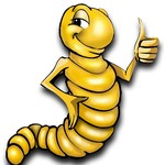 Top Offers Rainbow Mealworms