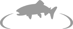 Top Offers RiverBum