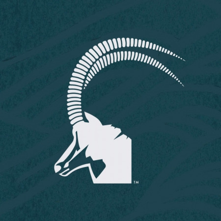 Sable Flow Coupon Codes