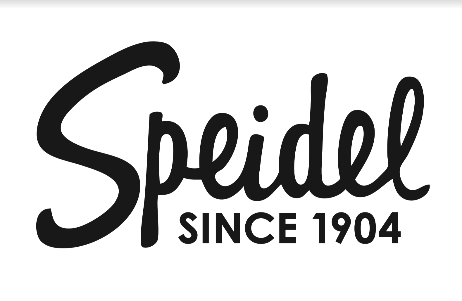 Speidel Coupon Codes