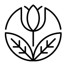 The Beauty Season Coupon Codes