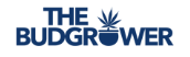 The Bud Grower Coupon Codes