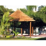 Tiki Shack Importer Coupon Codes