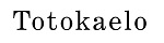 Totokaelo Coupon Codes