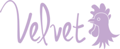 Velvet Coupon Codes