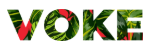 Voke Coupon Codes