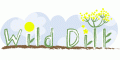 Wild Dill Coupon Codes